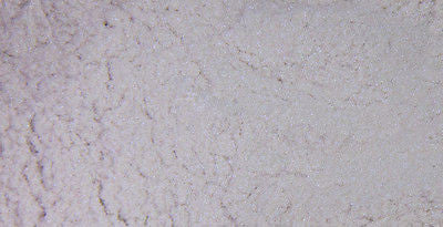 1oz - Lil' Daddy Roth Pearl Factory Skitzo Pearl - Slammed - Kustom Paint Supply