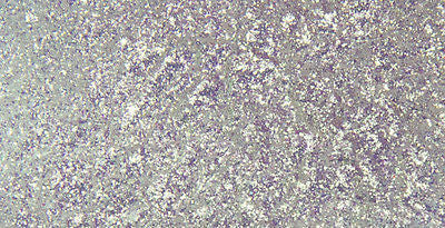 1oz - Lil' Daddy Roth Pearl Factory Skitzo Pearl - Viper Pearl - Kustom Paint Supply