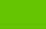 Lil' Daddy Roth Rattle Bomb Kandy - Sublime Green - 12oz Aerosol - Kustom Paint Supply